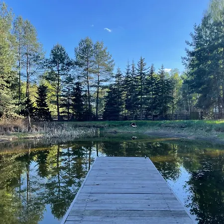 Shroom & Water Chill Calm Nature