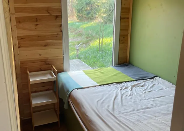 Shroom & Water Chill Calm Nature Grabica (Piotrkow)