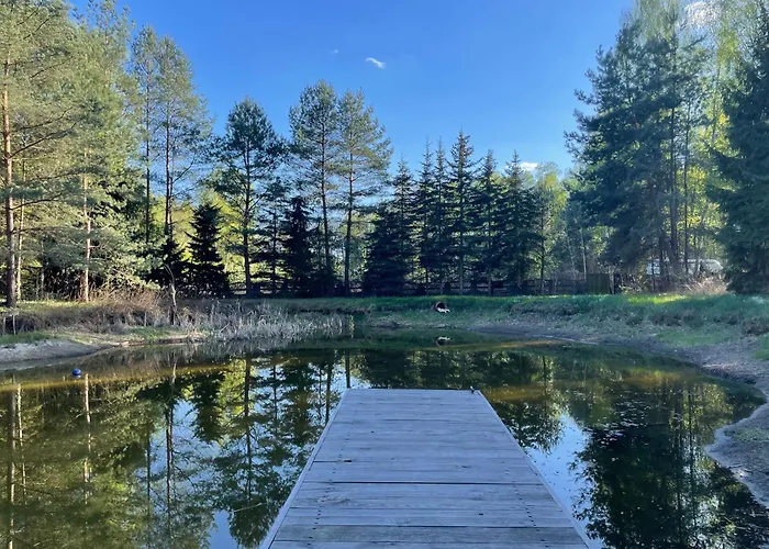 Shroom & Water Chill Calm Nature