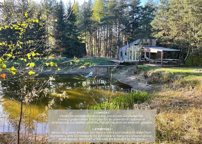 Shroom & Water Chill Calm Nature *